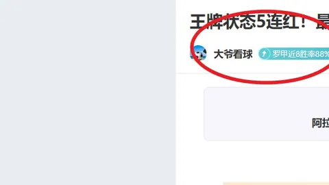 霍姆格倫與基迪昔日商戰情谊犹存